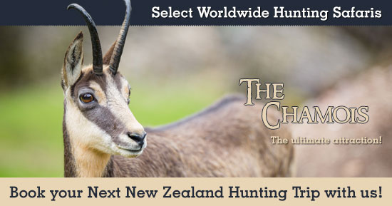 Hunting Chamois in New Zealand