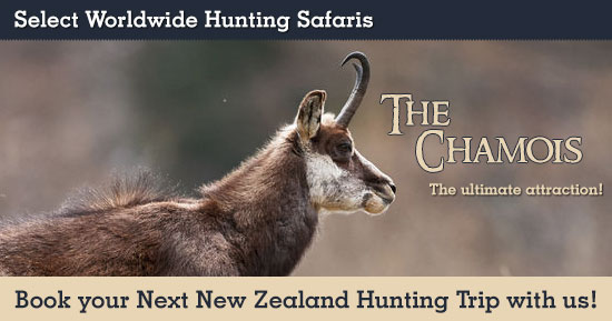 Hunting Chamois in New Zealand