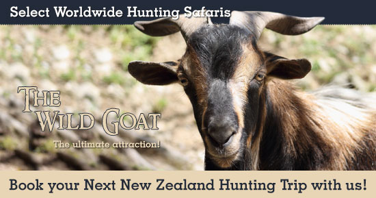 Hunting Wild Goat in New Zealand