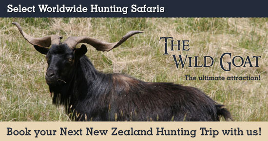 Hunting Wild Goat in New Zealand