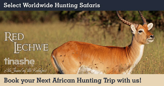 Hunting Red Lechwe in Southern Africa