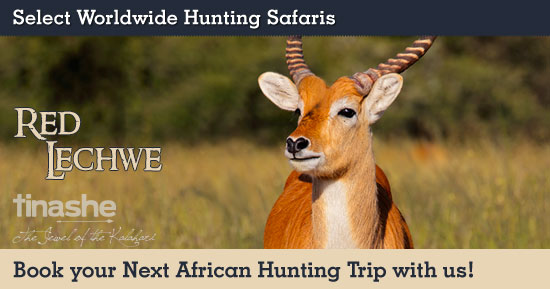 Hunting Red Lechwe in Southern Africa