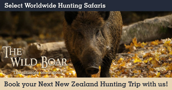 Hunting Wild Boar in New Zealand