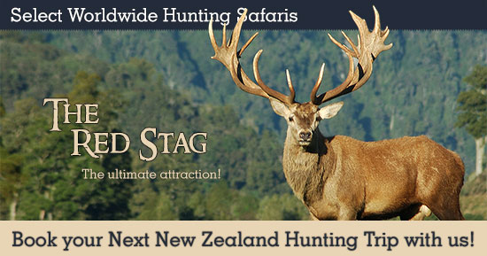 Hunting Red Stag in New Zealand